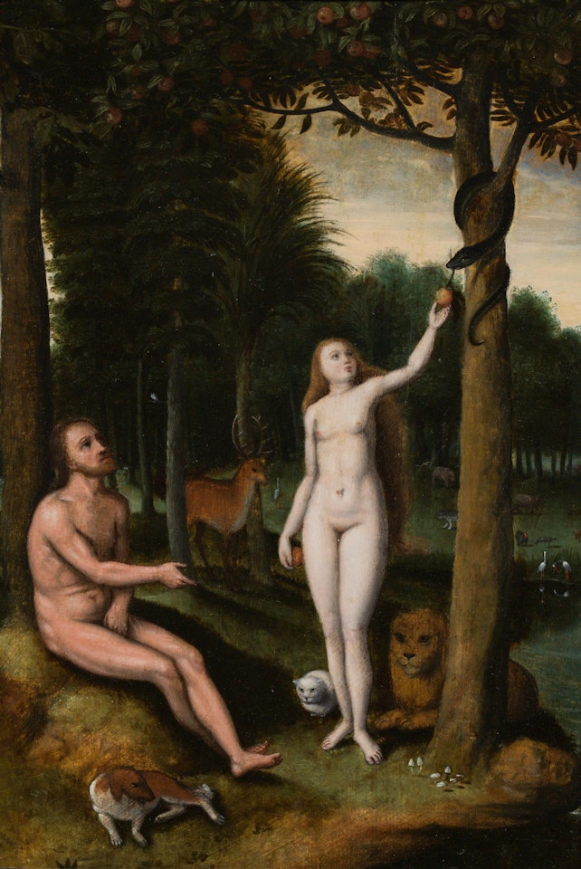 Fall of man by Flemish School