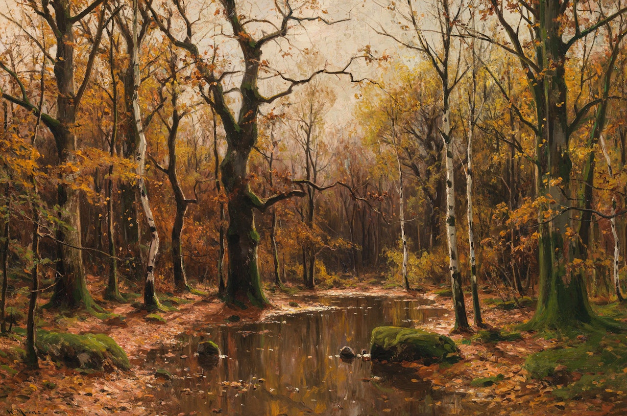 Autumn forest by Walter Moras