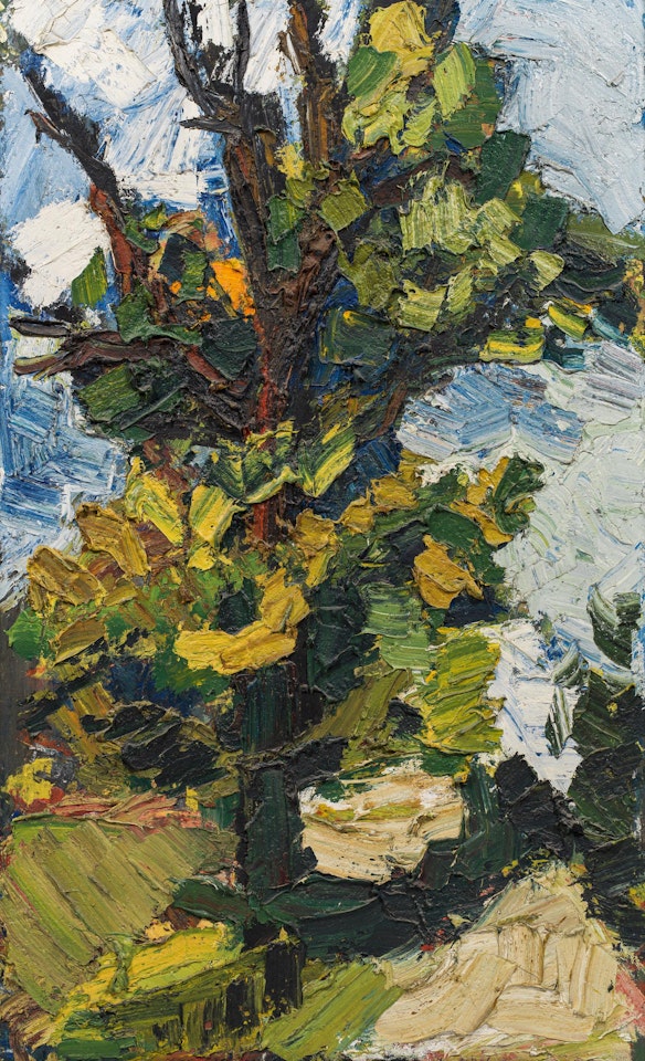 Landscape by Franz Grabmayr