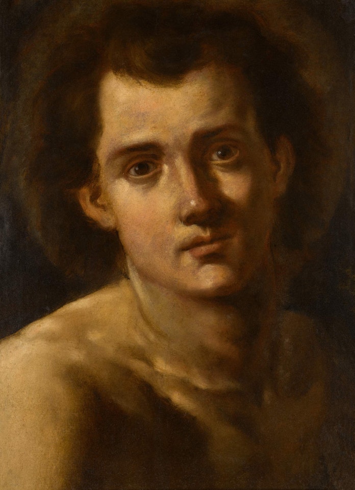 Male head study by Francesco Solimena