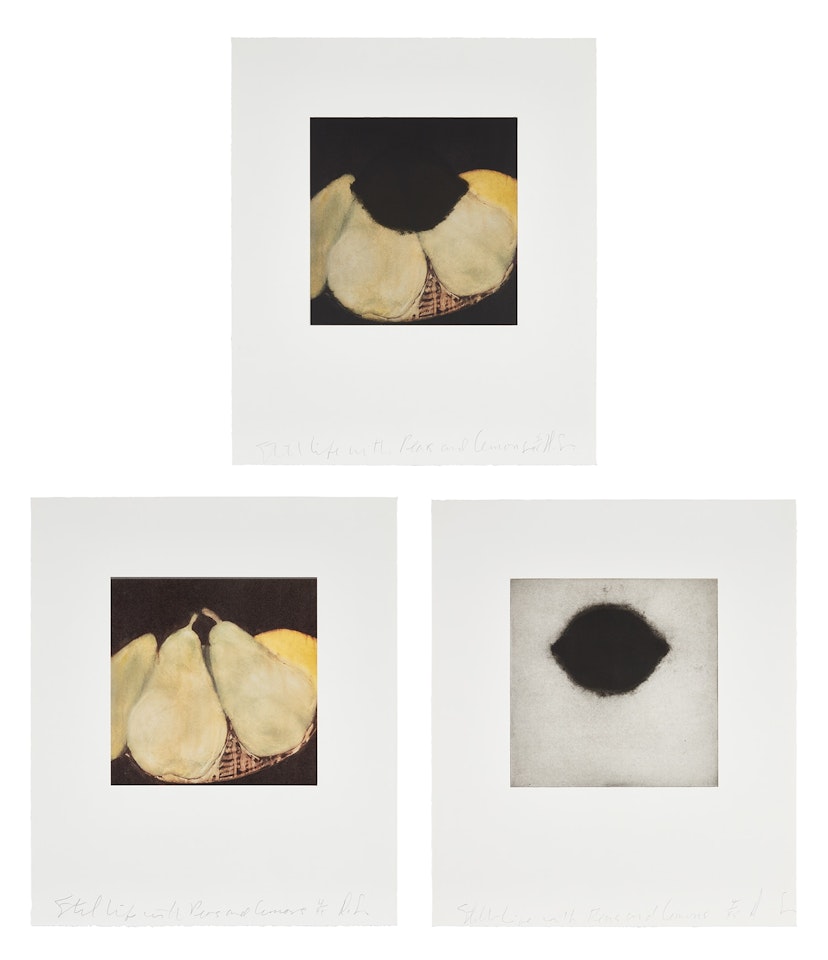 Still Life with Pears and Lemons by Donald Sultan