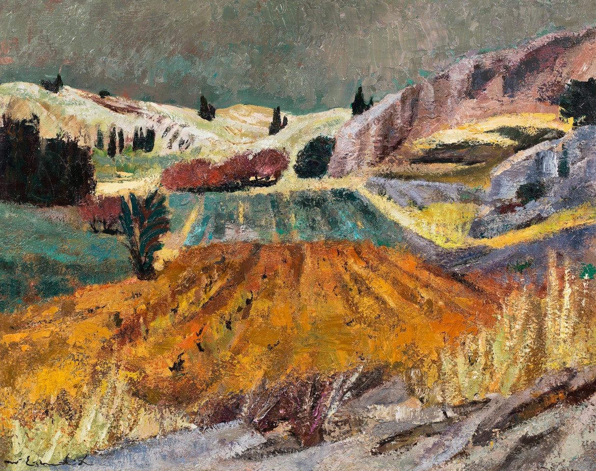 Vineyards and lavender at the Provence by Willy Eisenschitz