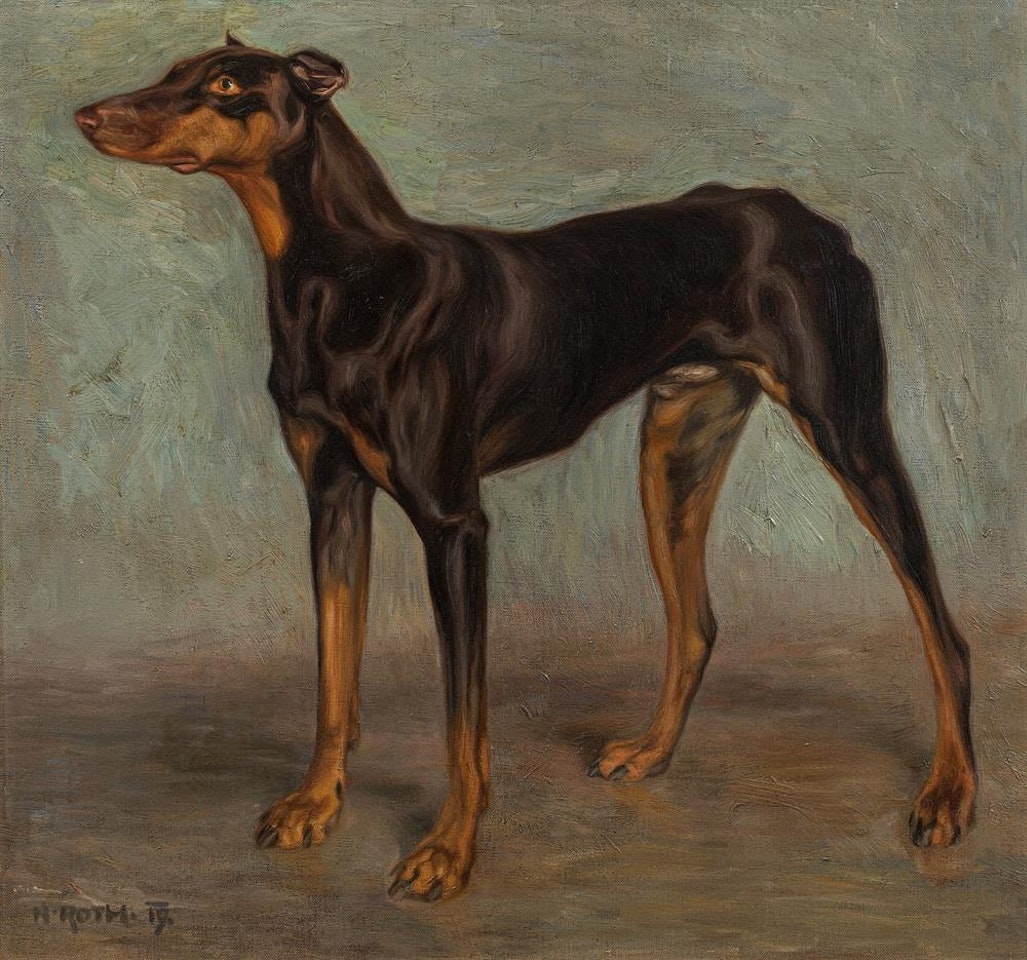 Dobermann by Norbertine Bresslern-Roth
