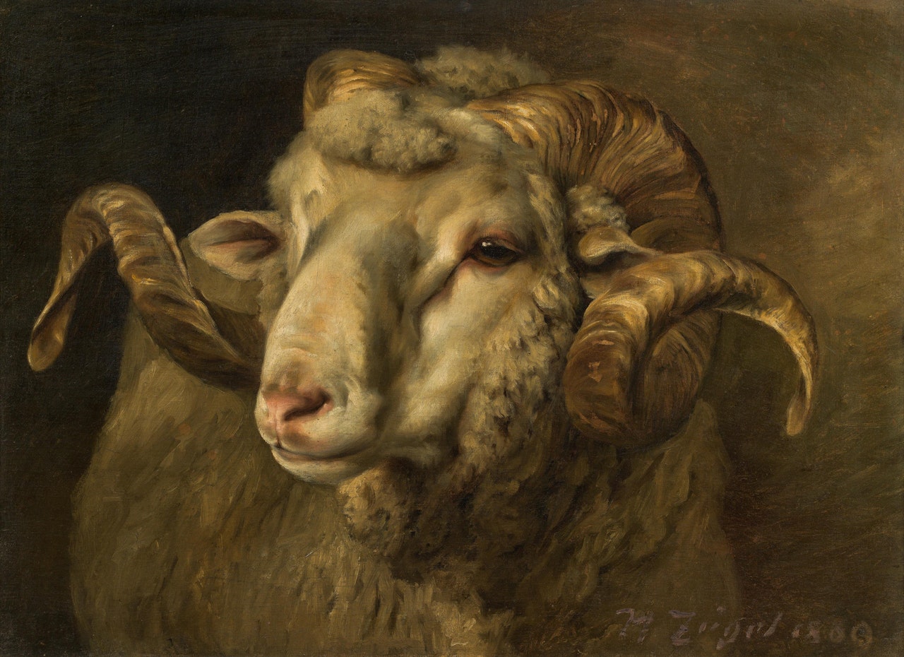 Ram's head by Heinrich von Zugel