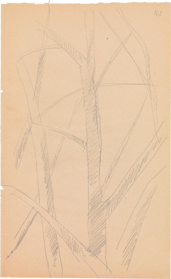 Studies of trees by Liubov Popova