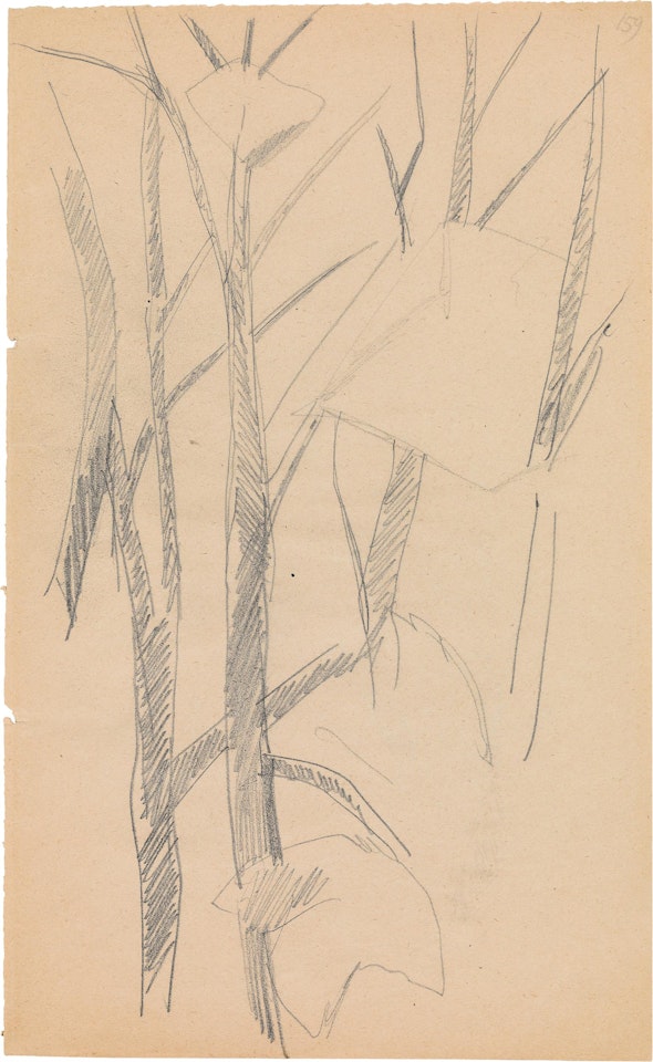 Studies of trees (recto and verso) by Liubov Popova