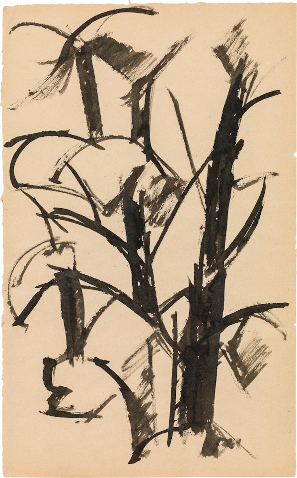 Studies of trees by Liubov Popova