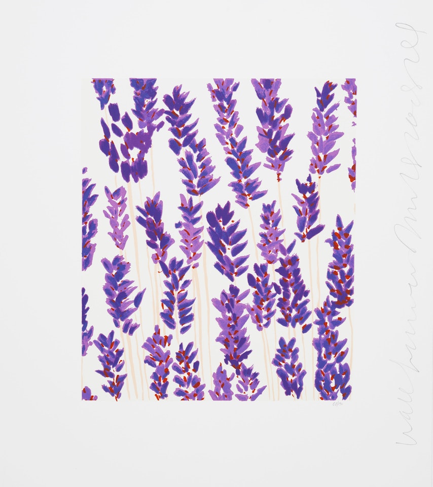 Wallflower 12; Wallflower 17, from Wallflowers Suite 2 by Donald Sultan
