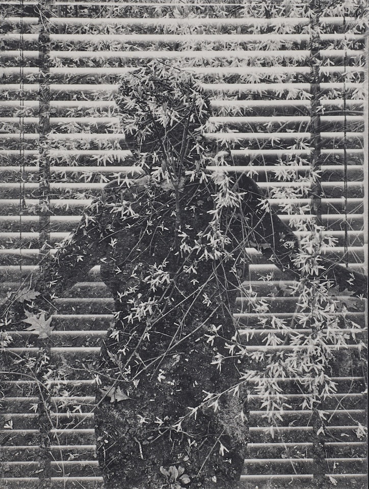 Eleanor, Chicago by Harry Callahan