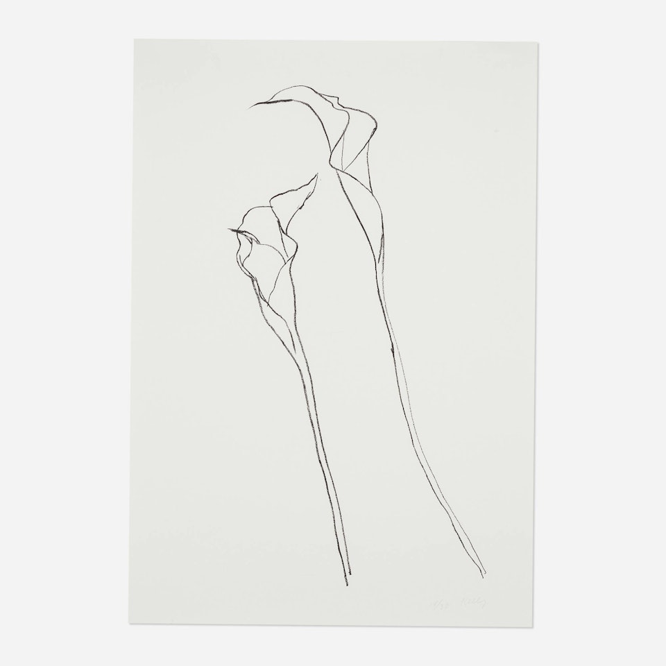 Calla Lily 2 by Ellsworth Kelly