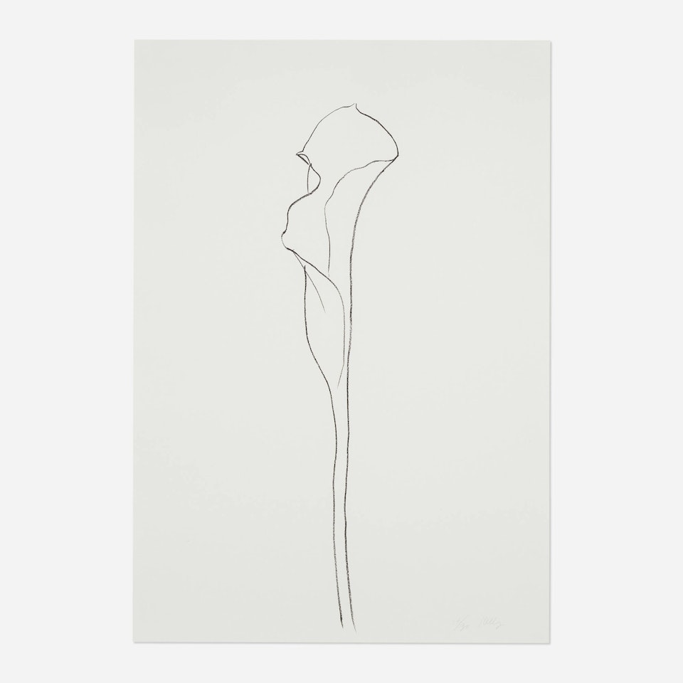 Calla Lily 3 by Ellsworth Kelly