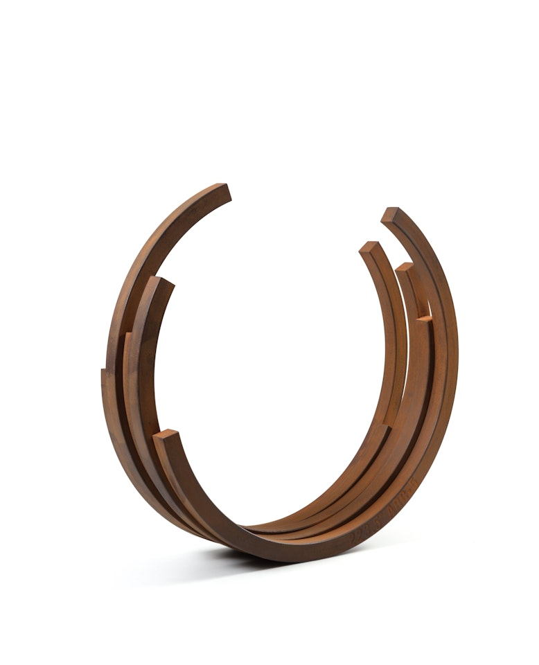 223.5° Arc x 5 by Bernar Venet