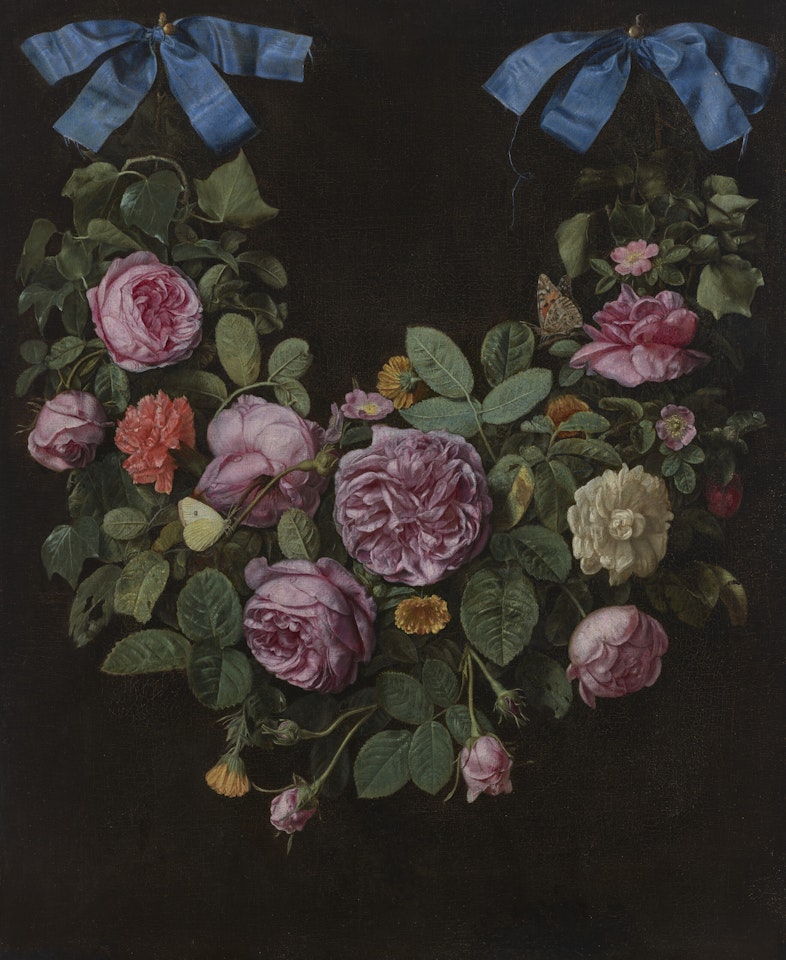 A swag of roses suspended from blue ribbons by Jan Van Kessel The Elder