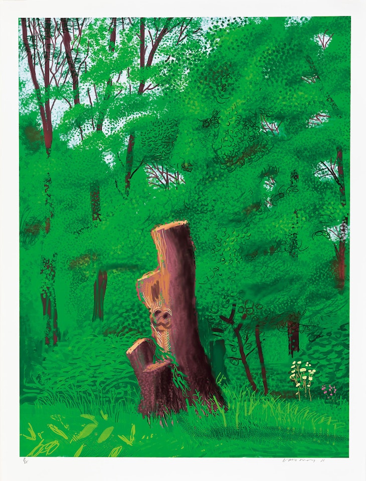 The Arrival of Spring in Woldgate, East Yorkshire in 2011 (Twenty Eleven) - 22 May by David Hockney