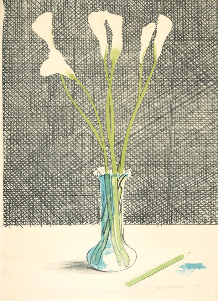 Lilies (Scottish Arts Council 118) by David Hockney
