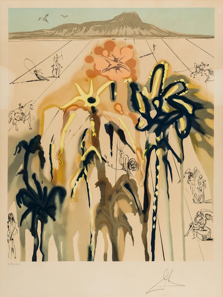 Diamond Head (Field 80-3; M&L 1580) by Salvador Dali