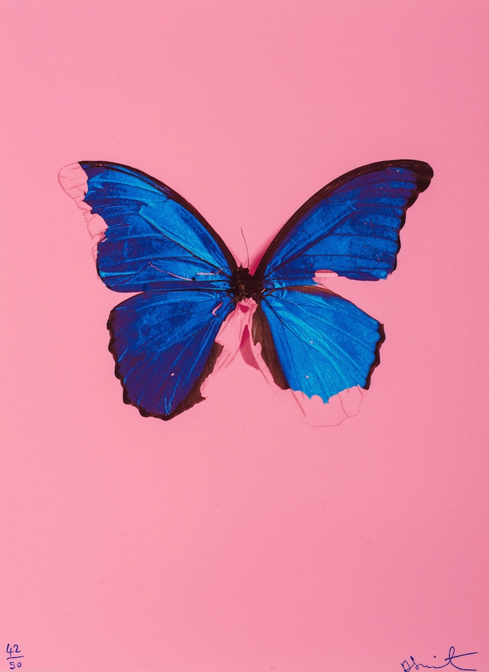 Blue Butterfly by Damien Hirst