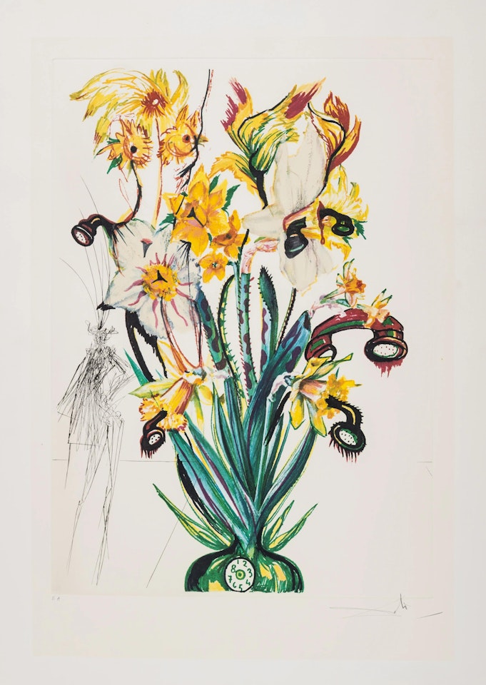 Narcissus telephonans inondis, from Surrealistic Flowers (Field 72-7J; M&L 549) by Salvador Dali