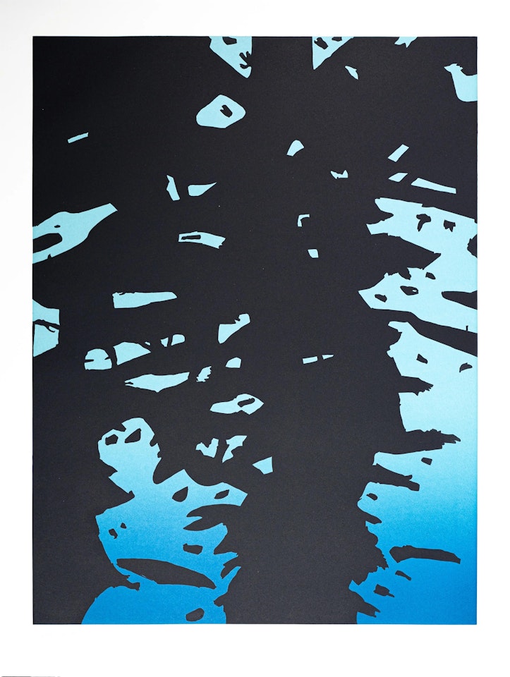 Reflection II (Schröder 482) by Alex Katz