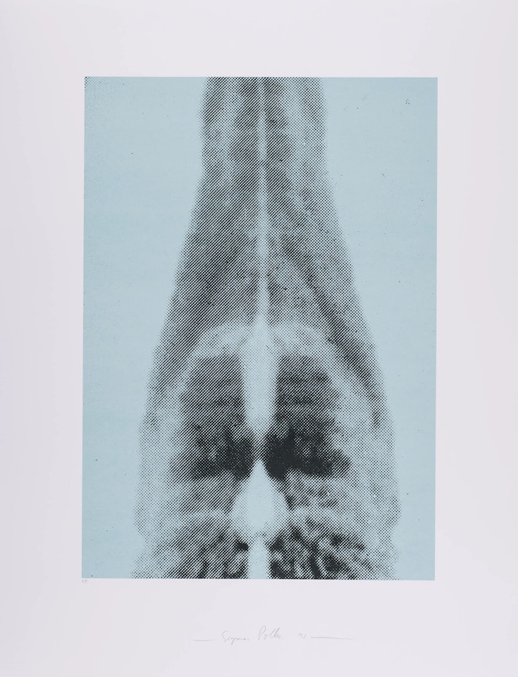 Ohne Titel, from Columbus - In Search of a New Tomorrow (See Limes p.54) by Sigmar Polke