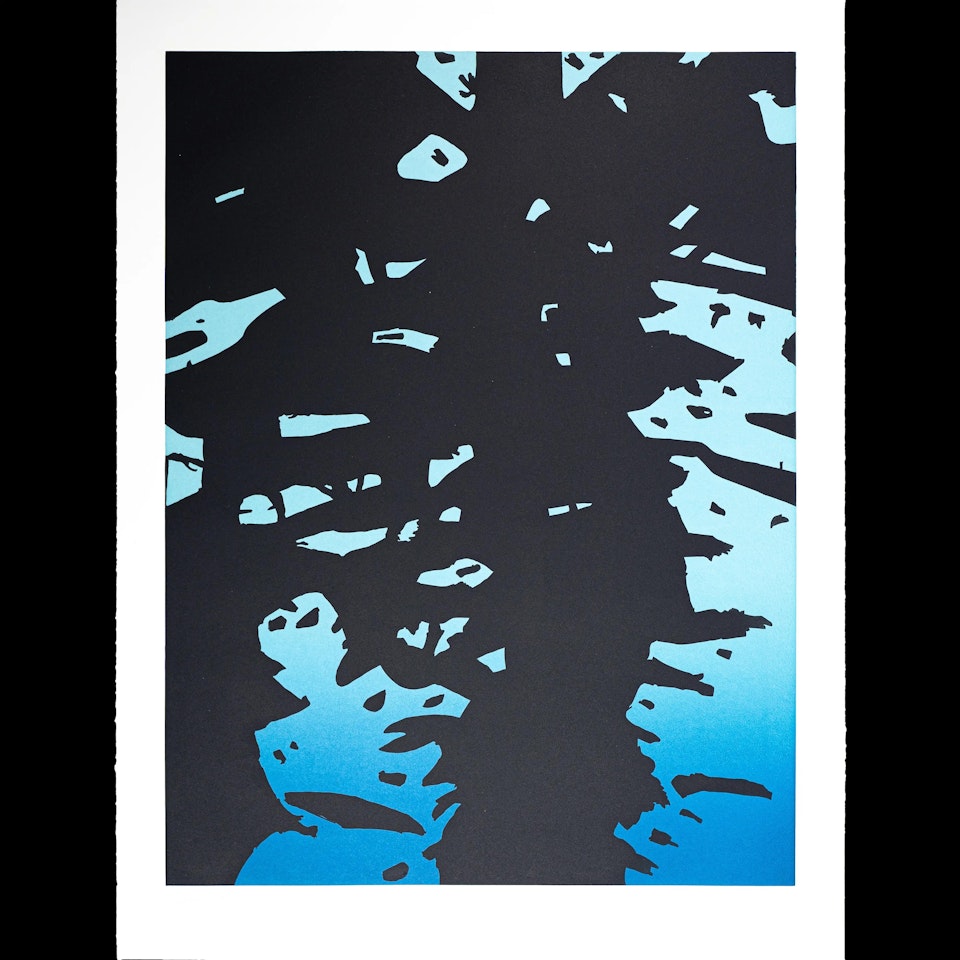 Reflection II by Alex Katz