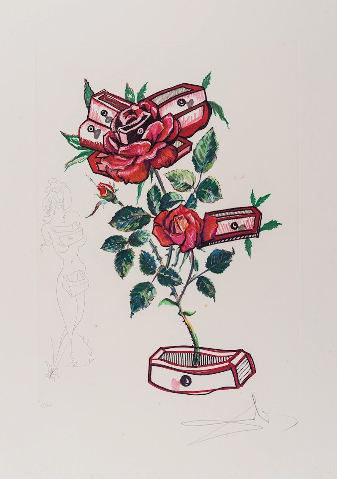 Surrealistic Flowers. Rose + Drawers (Field 72-7-L) by Salvador Dali
