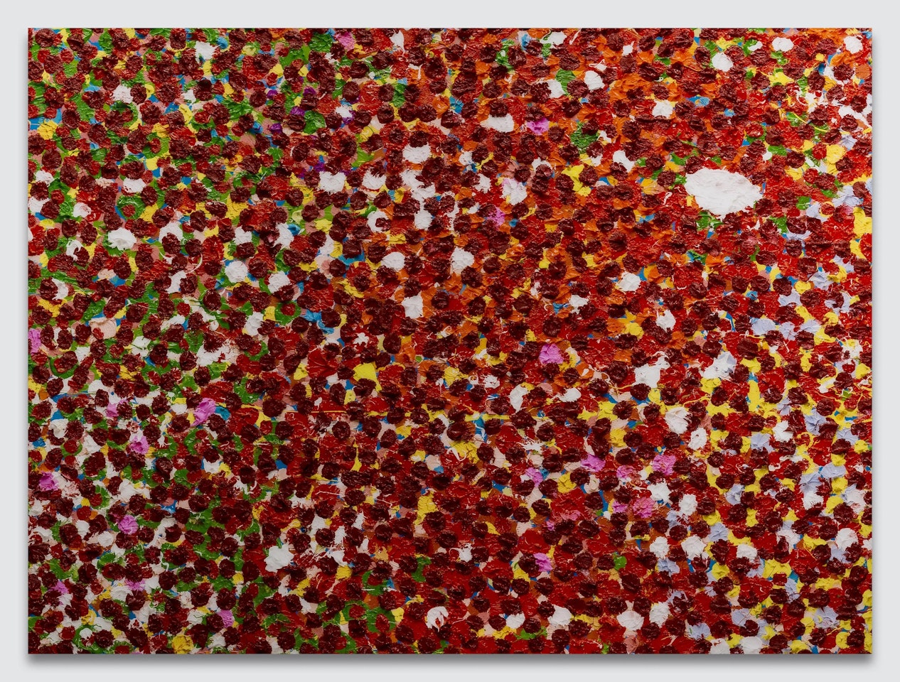 H4-7. Ryoanji by Damien Hirst