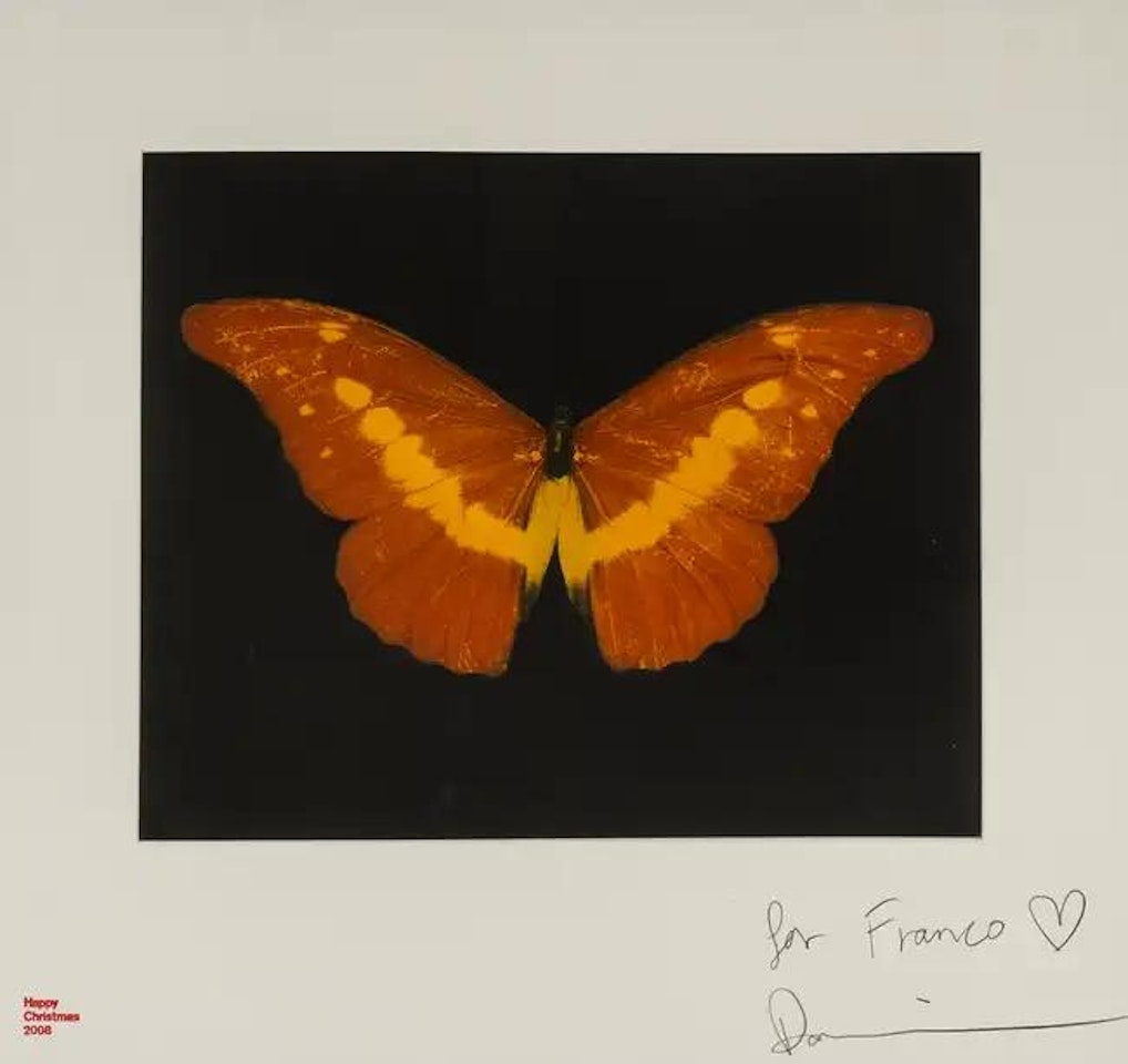 To Lure by Damien Hirst