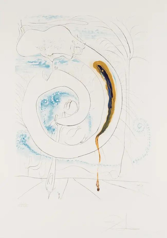 Le Cercle Viscéral du Cosmos (Field 74-12-D; M&L 647) by Salvador Dali