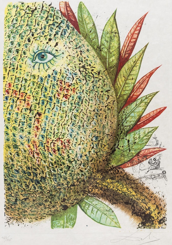 Ananas (Field 67-11) by Salvador Dali