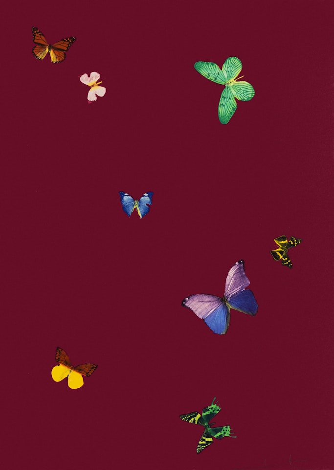 The Wonder of You, Your Smell by Damien Hirst