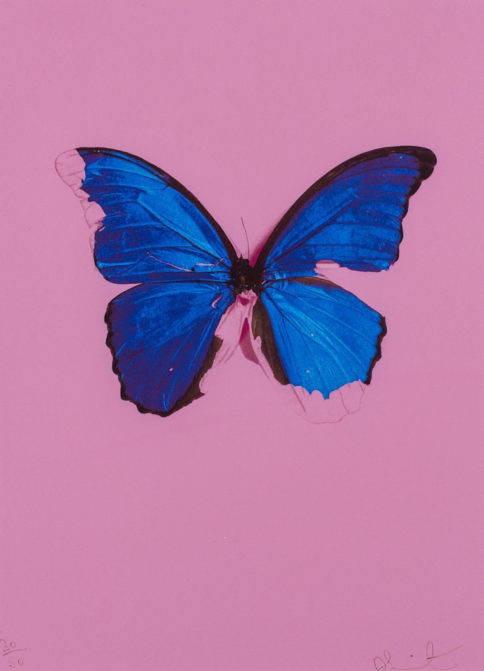 Blue Butterfly (From In the Darkest Hour There May Be Light) by Damien Hirst