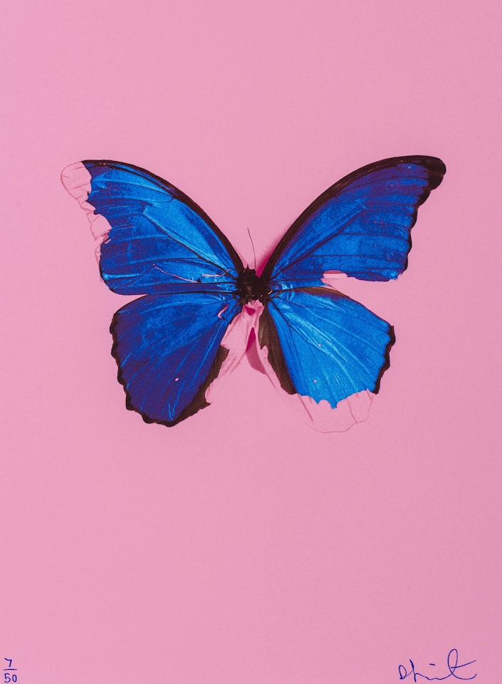Blue Butterfly by Damien Hirst