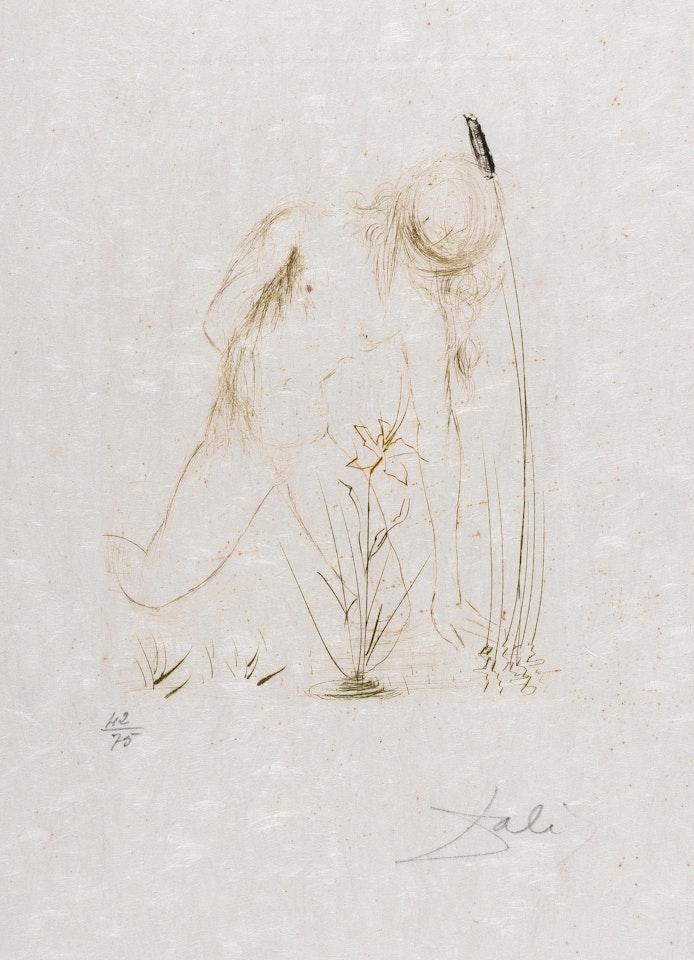 Narcissus (68-4-B) by Salvador Dali