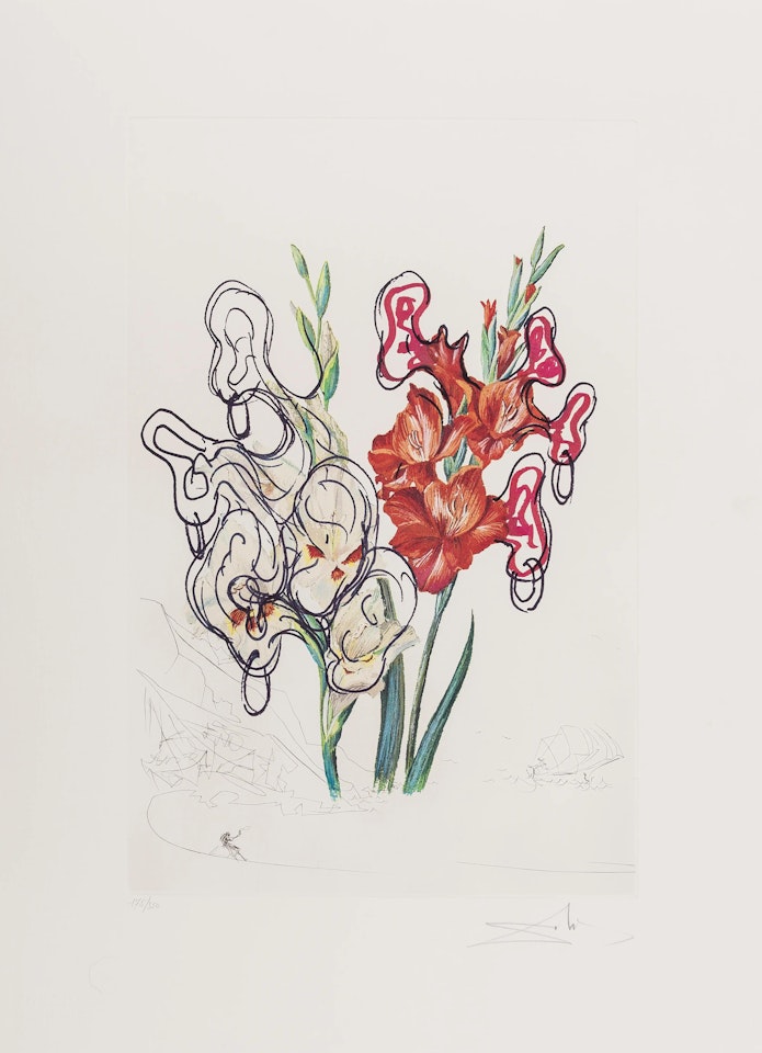 Gladiolus cum Aurium (Field 72-7-G) by Salvador Dali