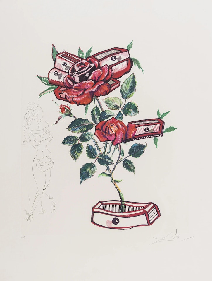 Rosa et Morte Floriscens (Field 72-7-L) by Salvador Dali