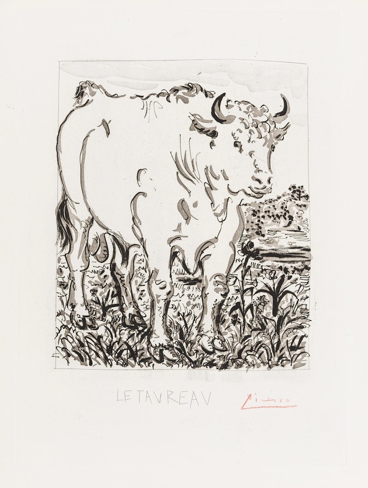 Le Taureau (Bloch 330, Baer 377/II/B/a) by Pablo Picasso