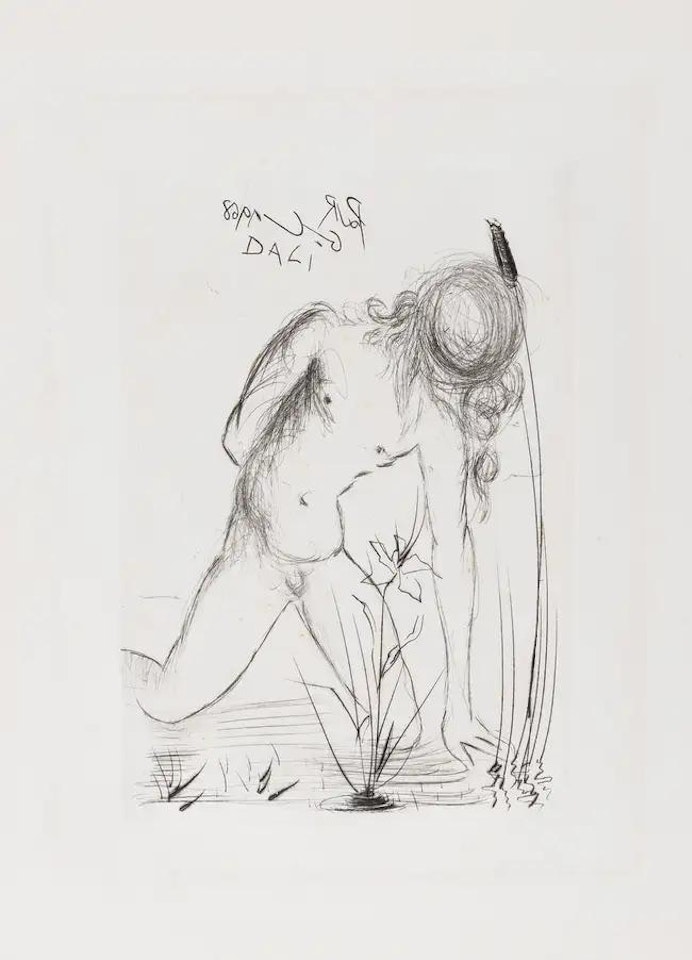 Narcisse (from Fifteen Etchings) (Field 68-4B; M&L 28-e) by Salvador Dali