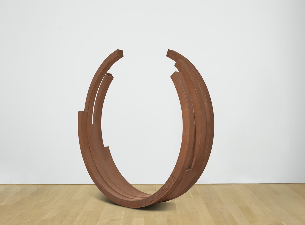 228.5º Arc X 5 by Bernar Venet