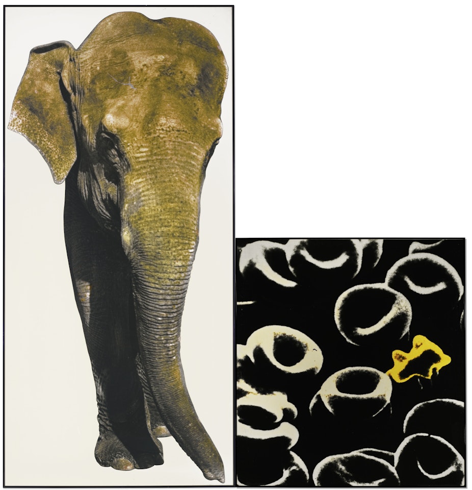 Elephant by John Baldessari