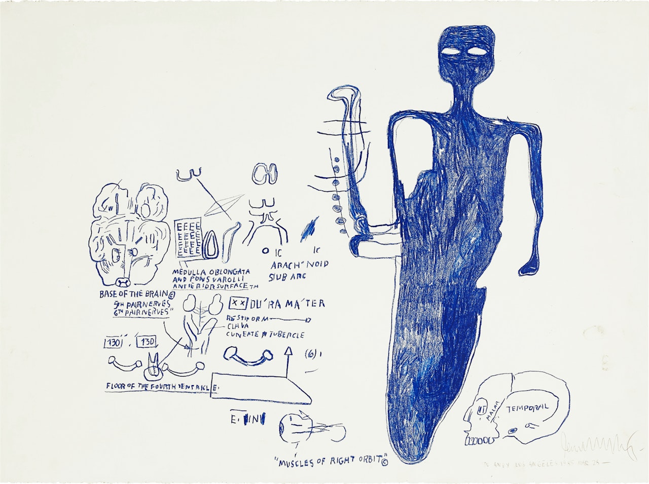 Muscles of Right Orbit by Jean-Michel Basquiat