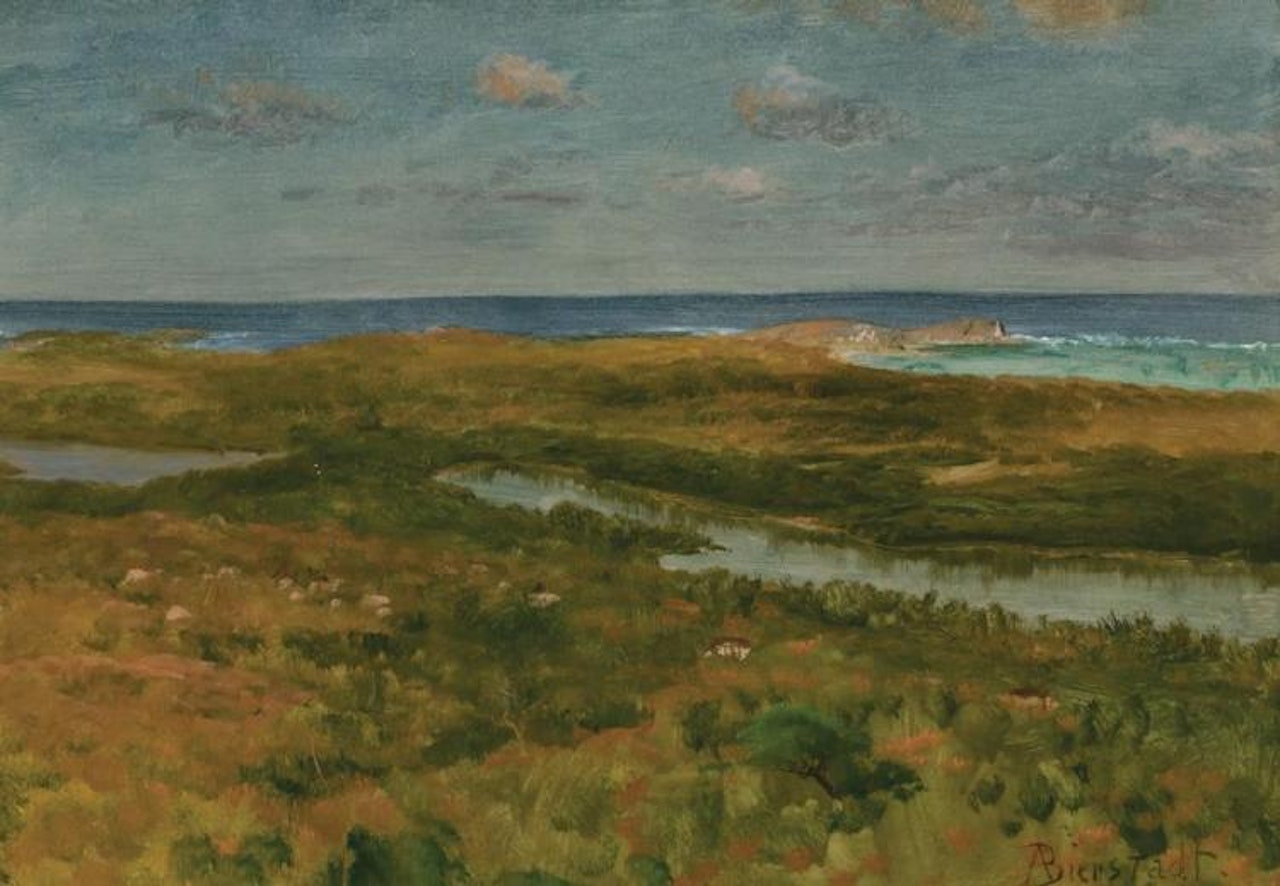 On the Pacific Coast by Albert Bierstadt