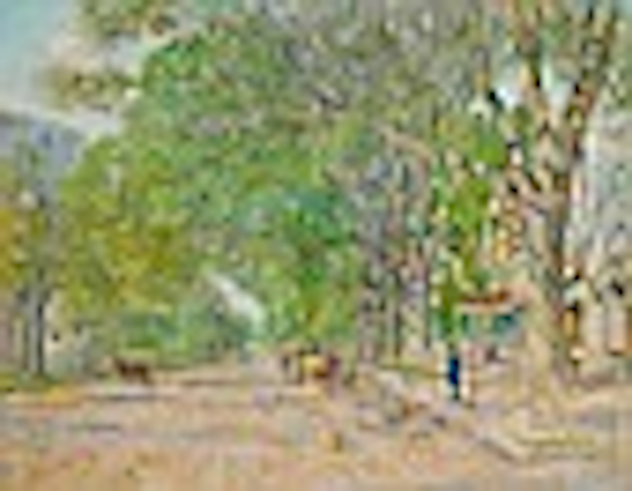 "The East Hampton Elms In May" by Childe Hassam