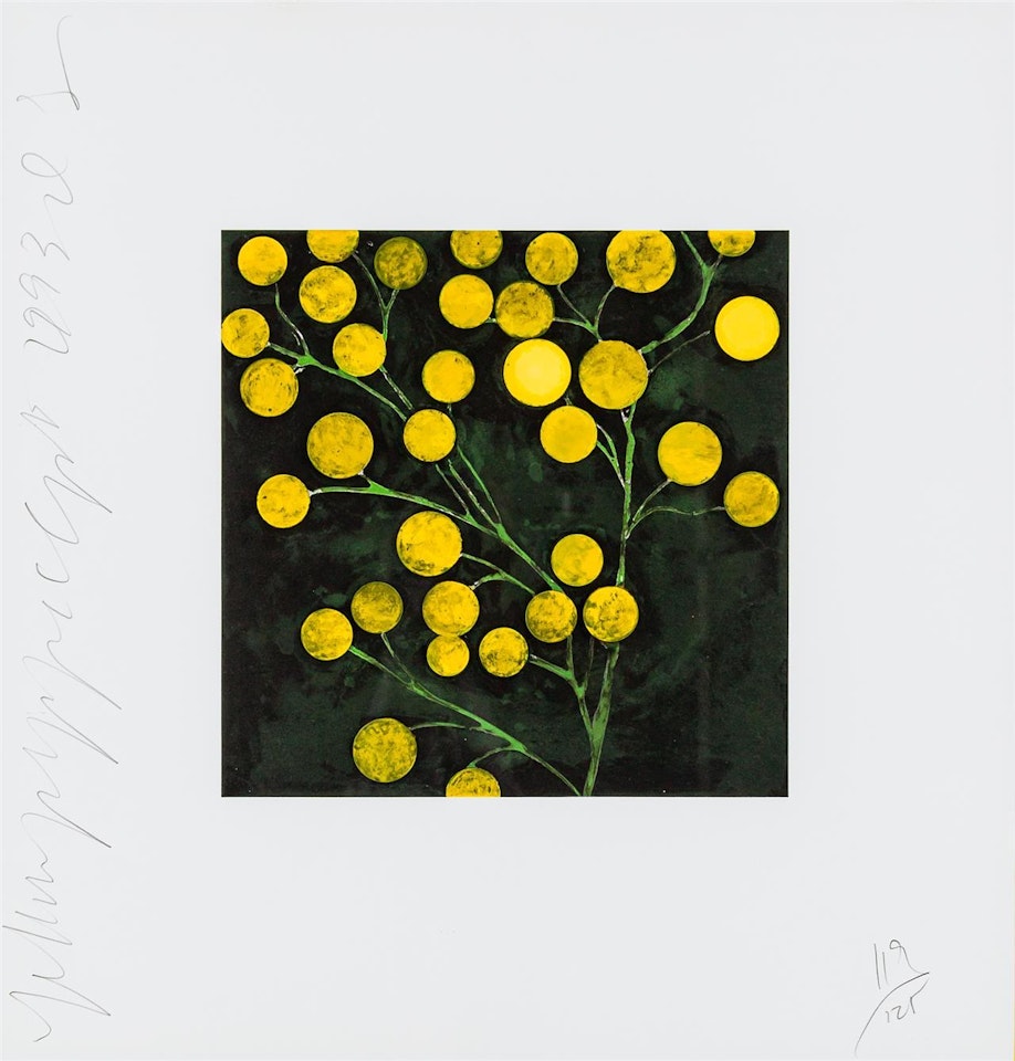 Yellow Peppers by Donald Sultan