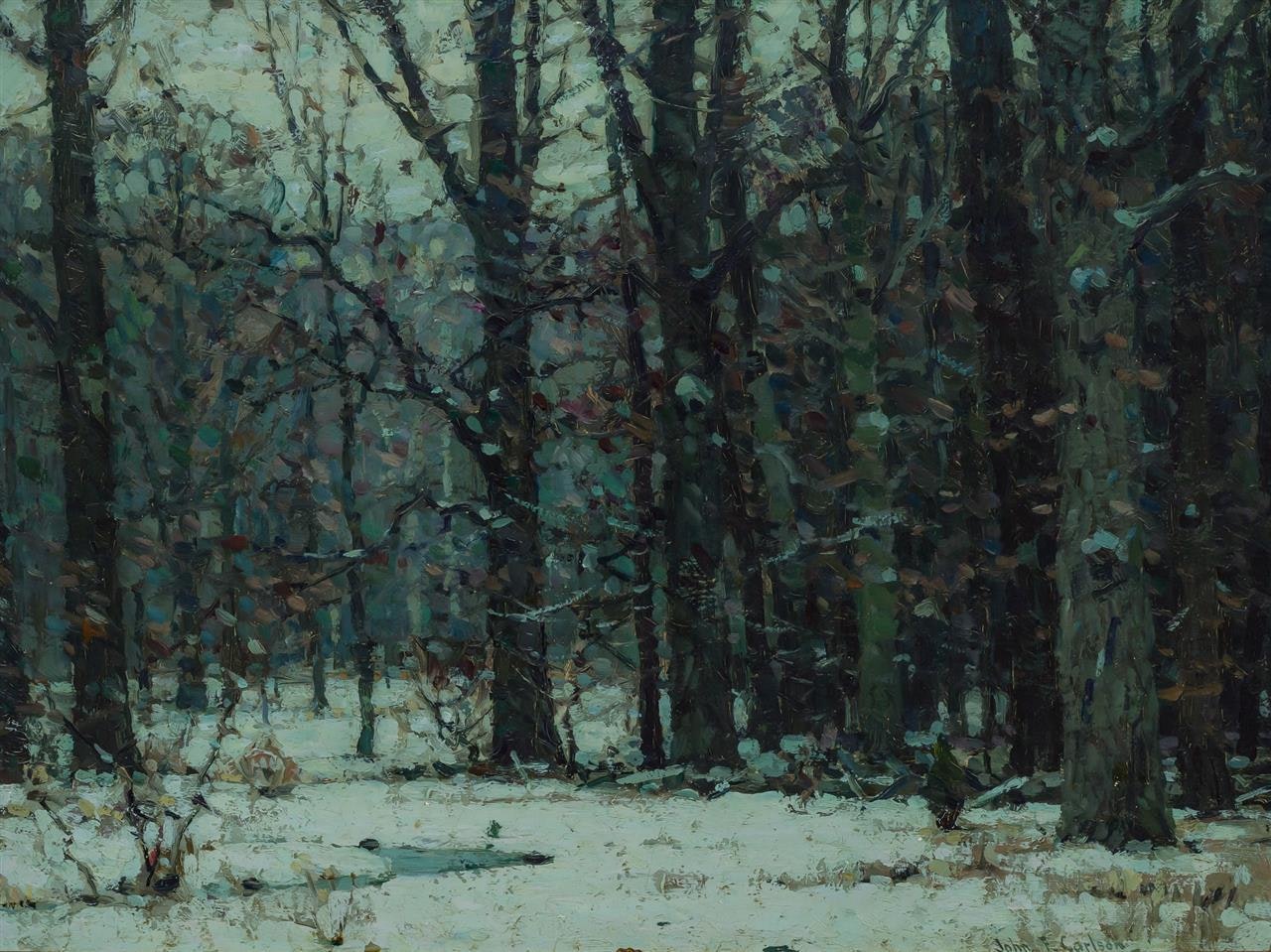 "Silent Woods" by John Fabian Carlson