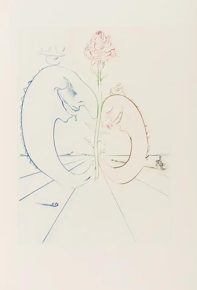 Babaouo (Field 78-2; M&L 932d & 1543-1549d) by Salvador Dali