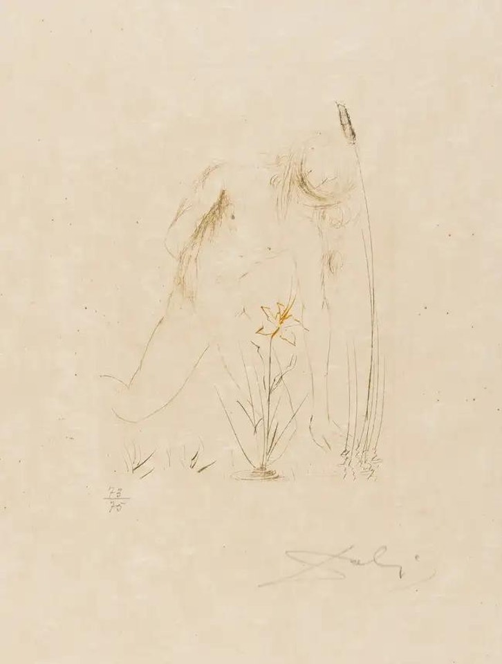 Narcisse (from Quinze Gravures) (M&L 284b; Field 68-4-B) by Salvador Dali