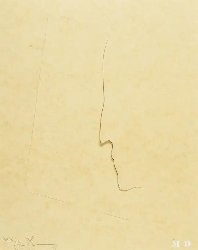 M.D. by Jasper Johns