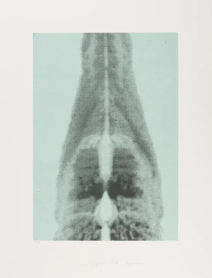 Untitled (See. Limes p.54) by Sigmar Polke