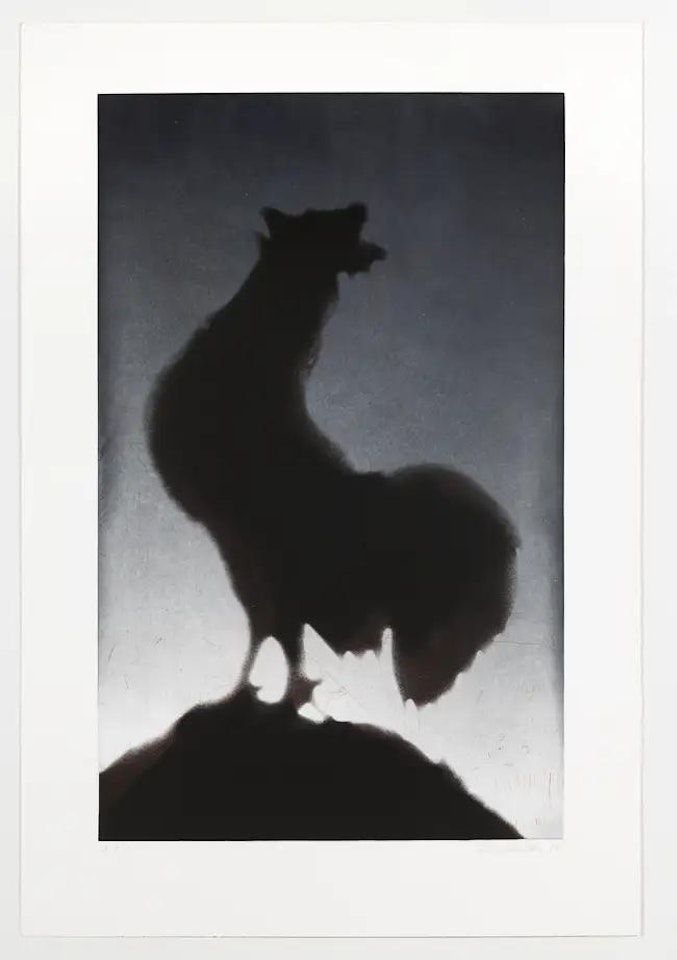 Rooster (Engberg 159) by Ed Ruscha